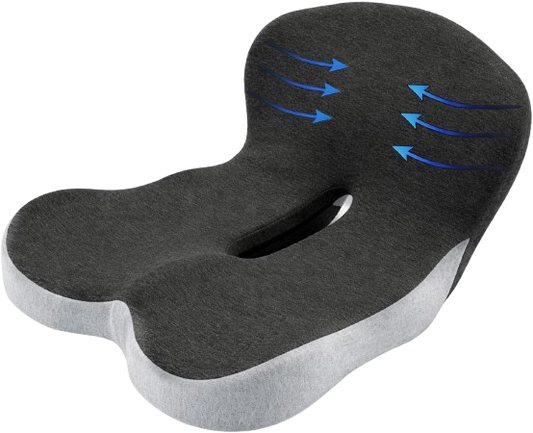 Back Cushion